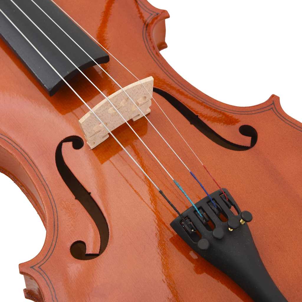 Premium Student Violin Outfit with Bow, Case, and Chin Rest