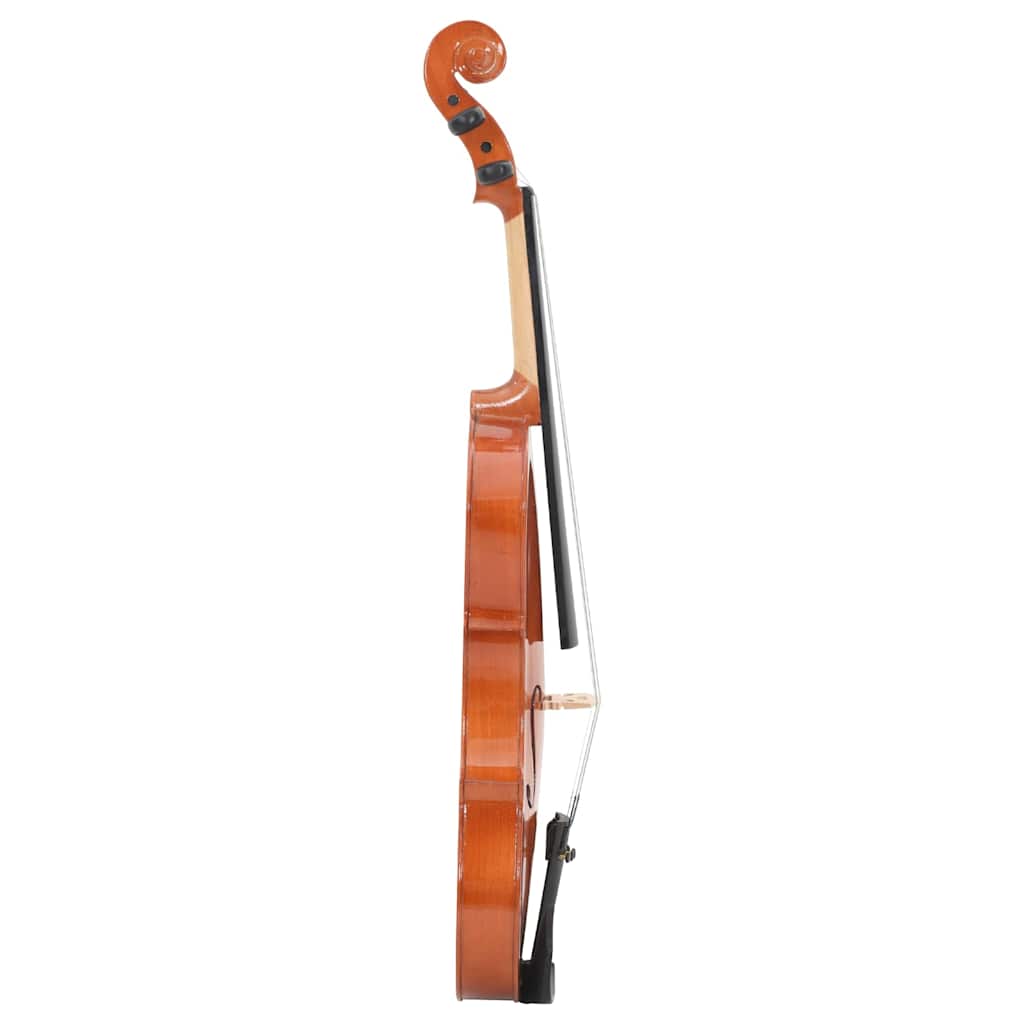 Premium Student Violin Outfit with Bow, Case, and Chin Rest